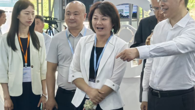 汽车配件批发退换货运费谁承担？揭秘行业规则